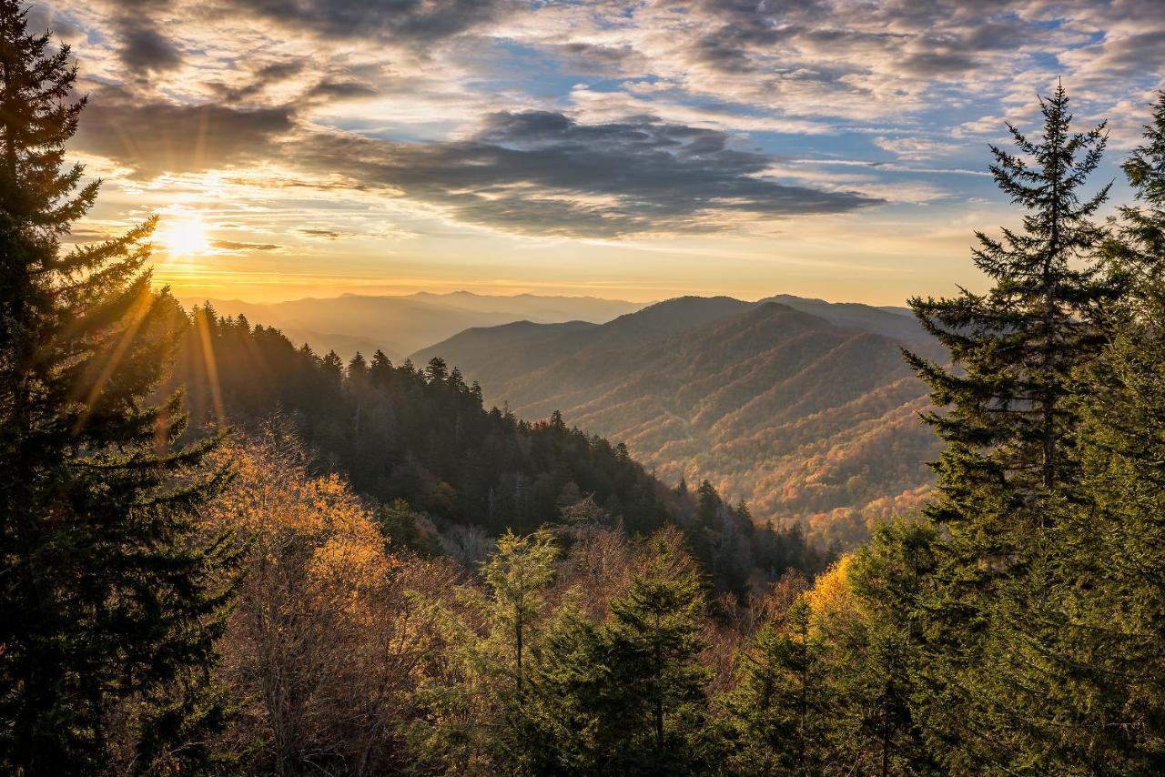 Sweet Dreams Whispering Pines 313 Lägenhet Pigeon Forge Exteriör bild